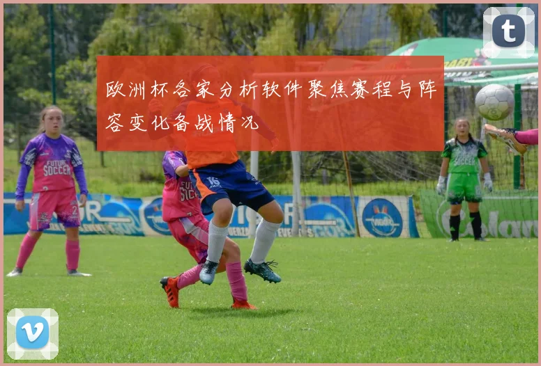 欧洲杯各家分析软件聚焦赛程与阵容变化备战情况