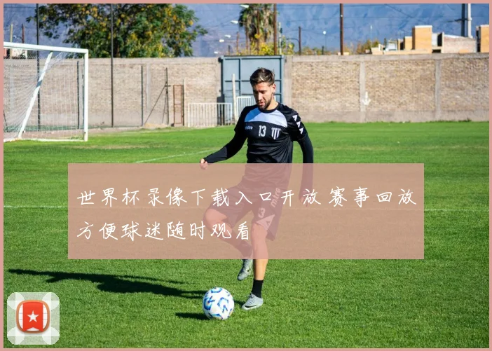 世界杯录像下载入口开放 赛事回放方便球迷随时观看