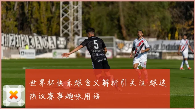 世界杯快乐球含义解析引关注 球迷热议赛事趣味用语