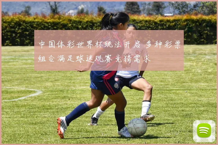 中国体彩世界杯玩法开启 多种彩票组合满足球迷观赛竞猜需求